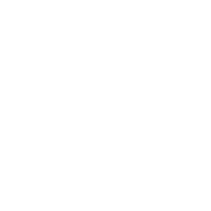 Make Sense logo